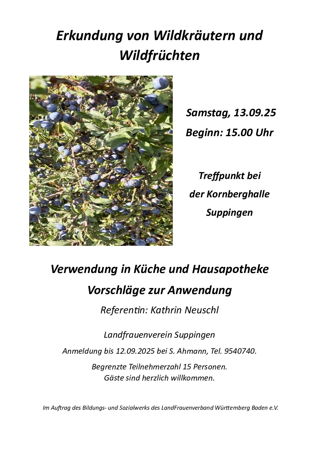 Erkundung von Wildkräutern und Wildfrüchten