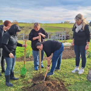 Merklinger LandFrauen meistern Baumpflanz-Challenge