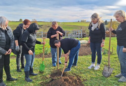 Merklinger LandFrauen meistern Baumpflanz-Challenge
